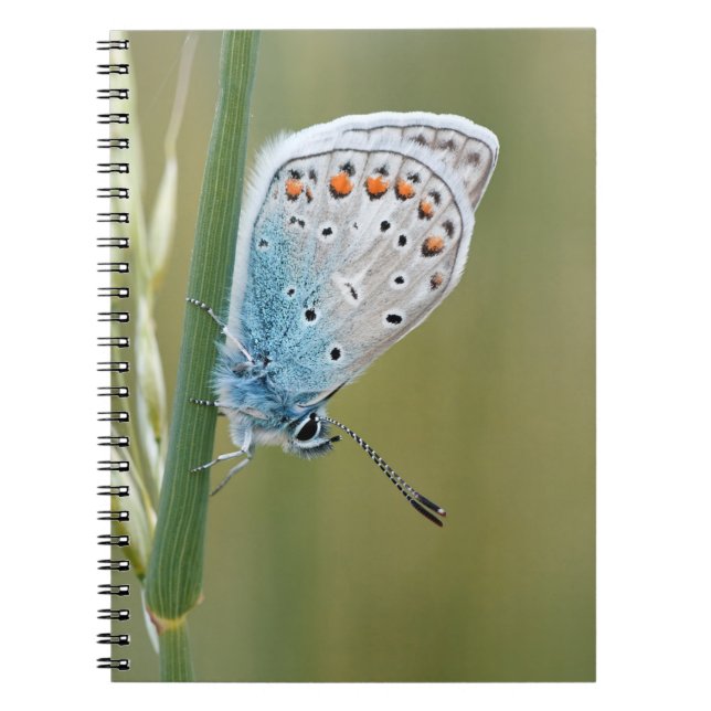 Cahier photo (80 pages B & N) (Devant)