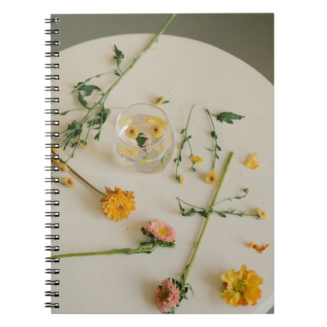Cahier photo (80 pages noir et blanc) (Devant)