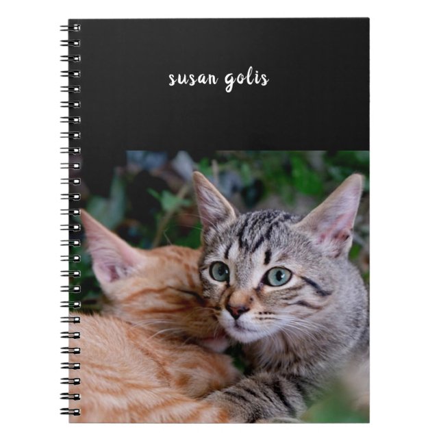 Cahier photo en spirale de chats mignons (Devant)