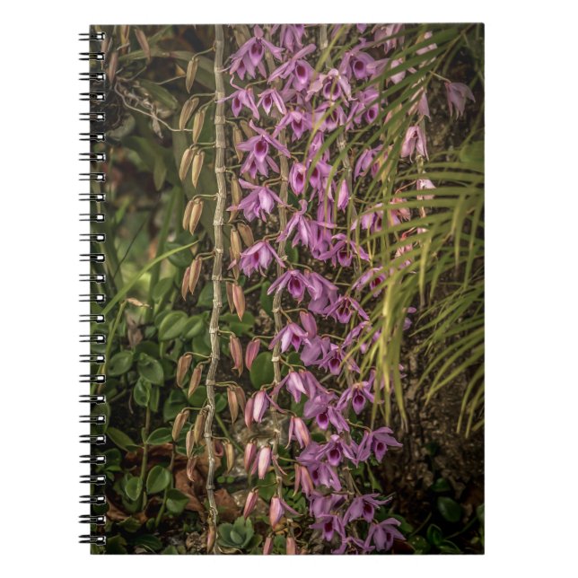 Cahier photo spirale d'orchidées (Devant)