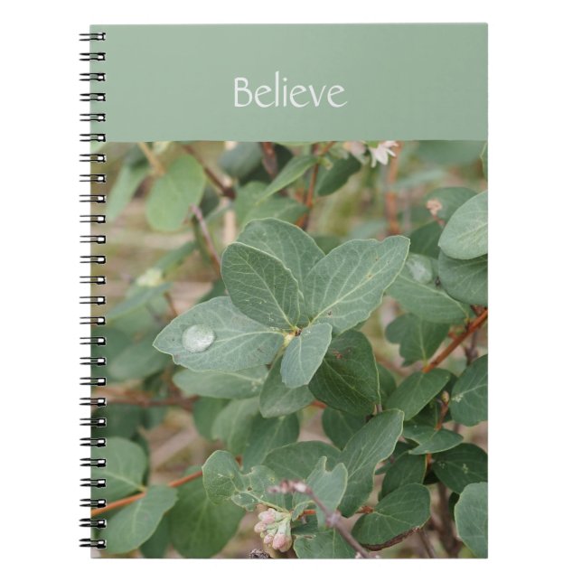 Cahier photo spirale Feuilles Vertes Croire (Devant)