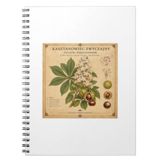 Cahier rétro.