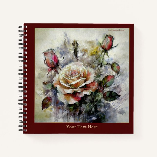 Cahier Rosa semperflorens Aquarelle (Devant)
