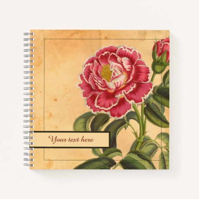 Cahier Rose de Provence 8,5x8,5" (Devant)