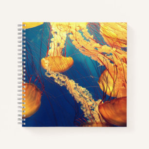 Cahier spiralé 8,5" x 8,5"