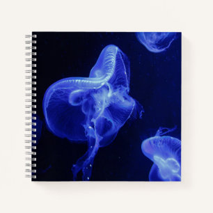 Cahier spiralé 8,5" x 8,5"
