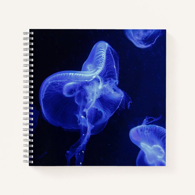 Cahier spiralé 8,5" x 8,5" (Devant)