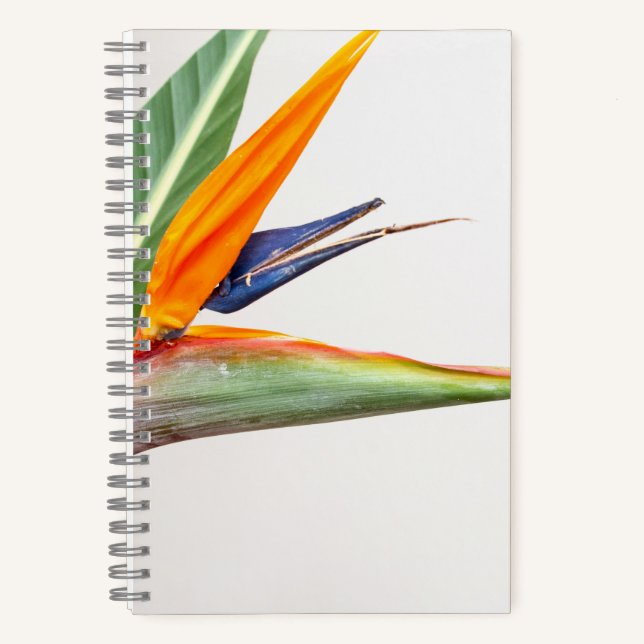 Cahier spiralé 8,5" x 8,5" (Recto)