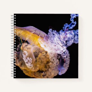 Cahier spiralé 8,5" x 8,5"