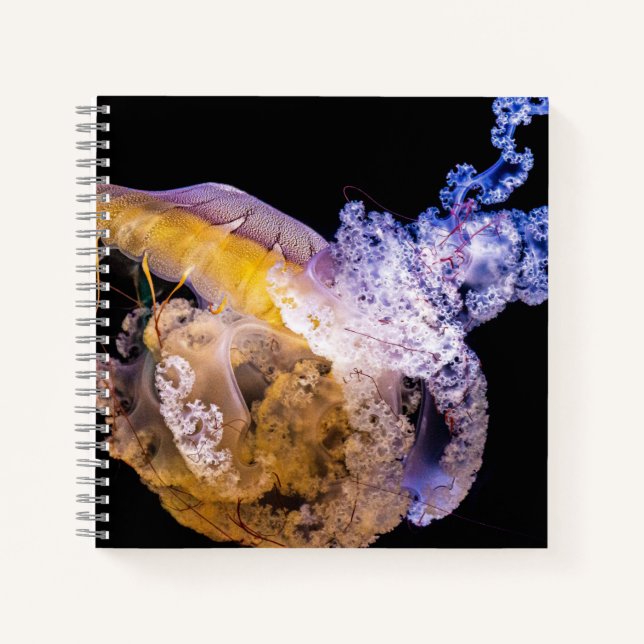 Cahier spiralé 8,5" x 8,5" (Devant)