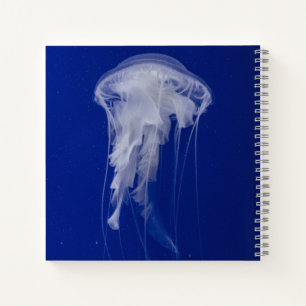 Cahier spiralé 8,5" x 8,5"