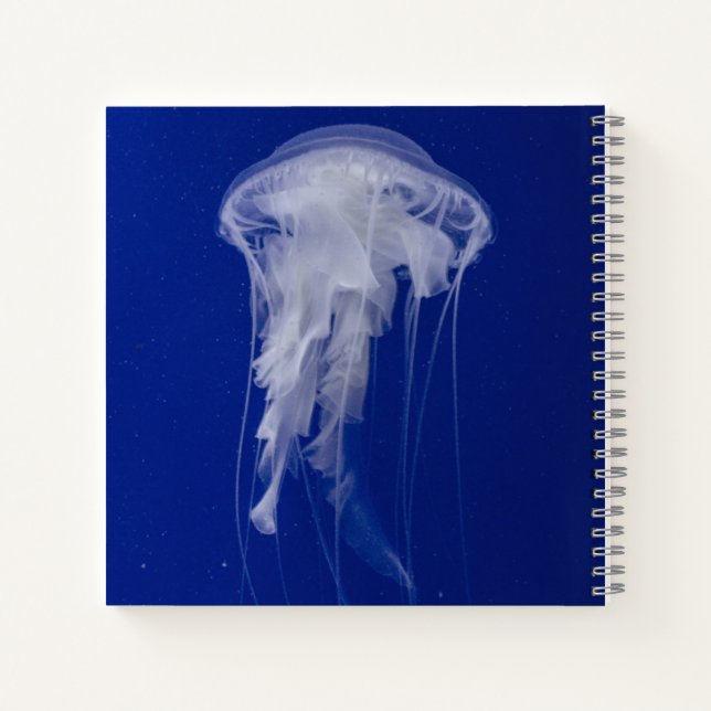 Cahier spiralé 8,5" x 8,5" (Dos)