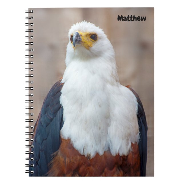 Cahier spiralé Aigle de mer d'Afrique (Devant)