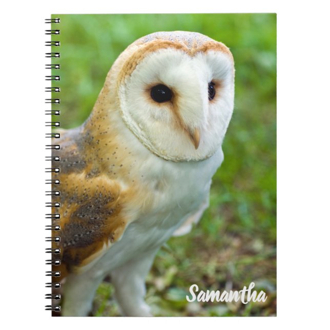 Cahier spirale Chouette effraie (Devant)