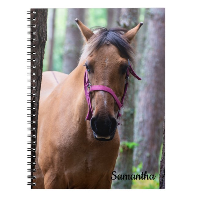 Cahier spiralé du cheval de Fjord norvégien (Devant)