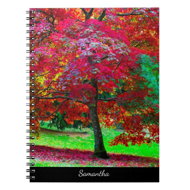 Cahier spiralé Érable Japonais (Devant)