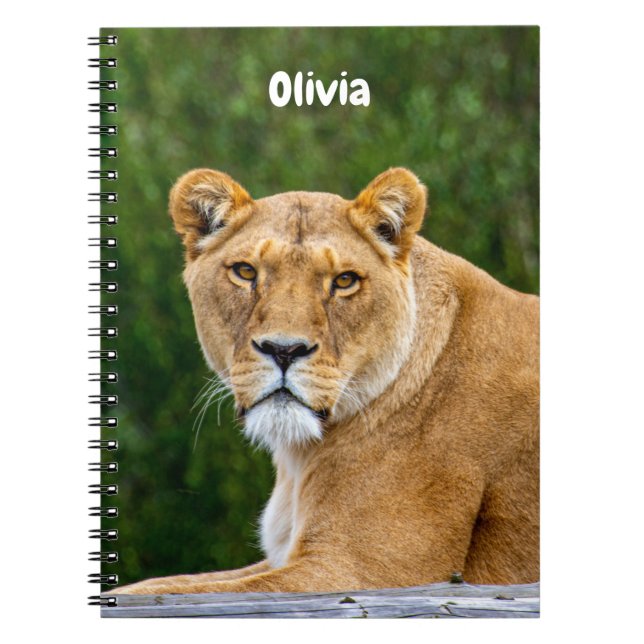 Cahier spirale Lion (Devant)
