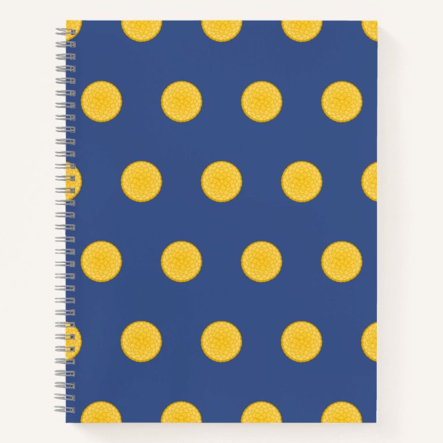 Cahier Spirale Sensationnel Synura (Devant)