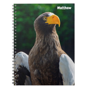 Cahier spiralé Stellar Sea Eagle