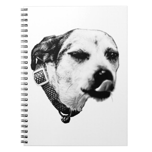 Cahier Terrier Impertinent – Clin d'œil et Coup de (Devant)