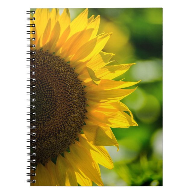 Cahier - Tournesol Dans Le Champ (Devant)