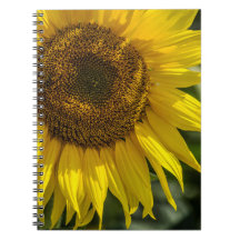 Cahier - Tournesol Jaune
