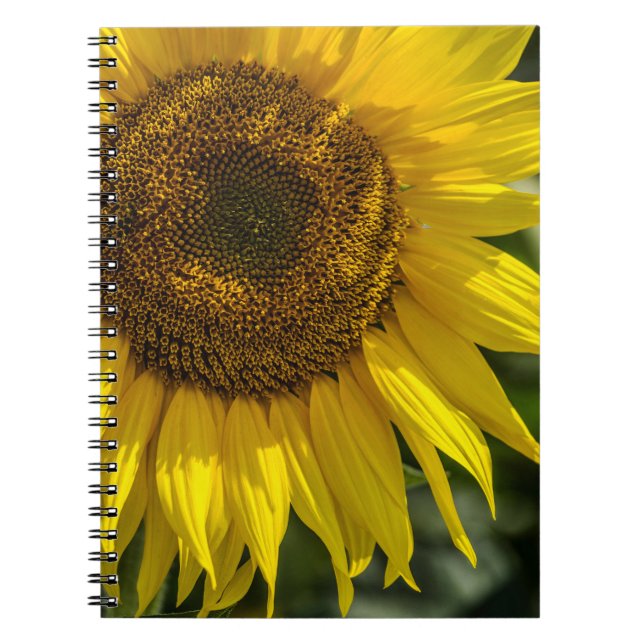Cahier - Tournesol Jaune (Devant)