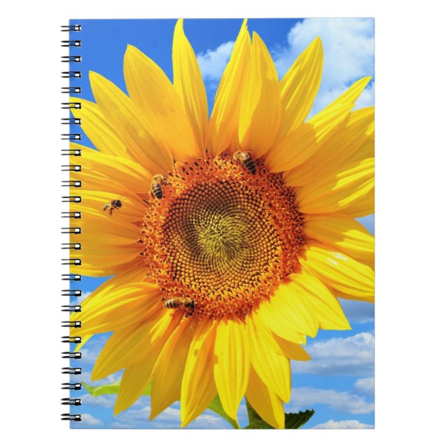 Cahier Tournesol Jaune (Devant)