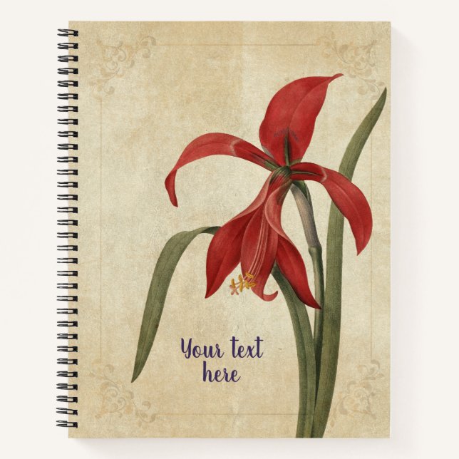 Cahier Vintage Amaryllis (Devant)