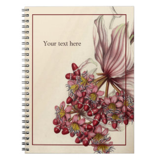 Cahier Vintage Medinilla Magnifica