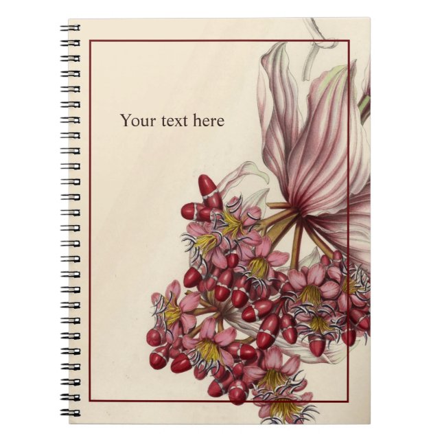 Cahier Vintage Medinilla Magnifica (Devant)