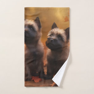 Cairn Terrier Chiot Automne Citrouille de plaisir
