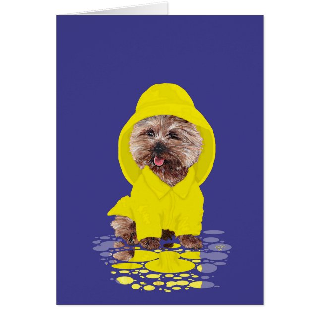 Cairn Terrier de jour de pluie (Devant)