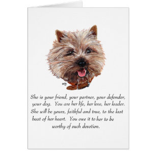Cairn Terrier Objet-souvenir - FEMELLE