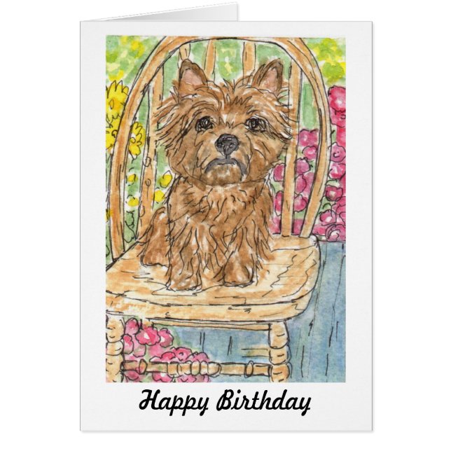 Cairn Terrier se reposant dans la carte (Devant)