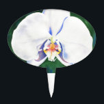 Cake Topper Orchidée blanche<br><div class="desc">romantique peinture d'aquarelle blanche d'origine par H Cooper</div>