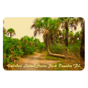 Caladesi Island Dunedin Fl Flexi Magnet