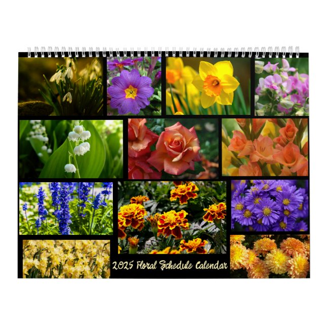 Calendrier (Protection)