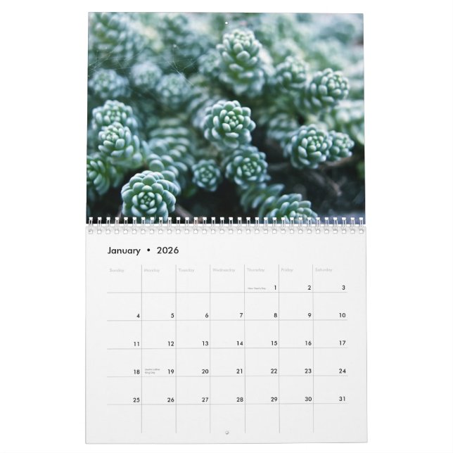 Calendrier (Jan 2026)