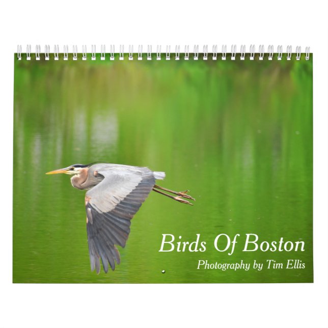 Calendrier (Protection)