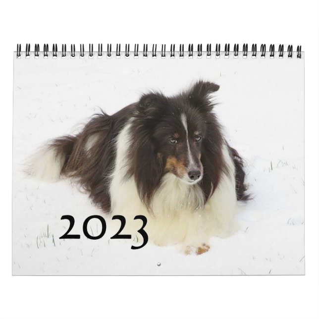 Calendrier (Protection)