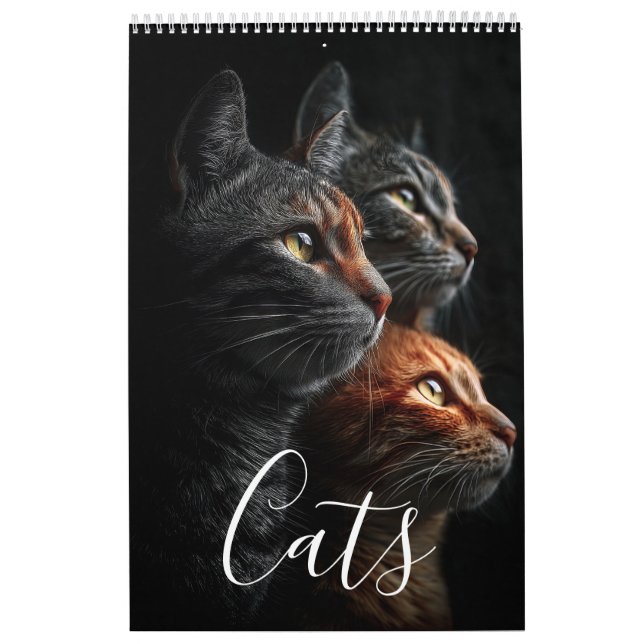 Calendrier (Protection)