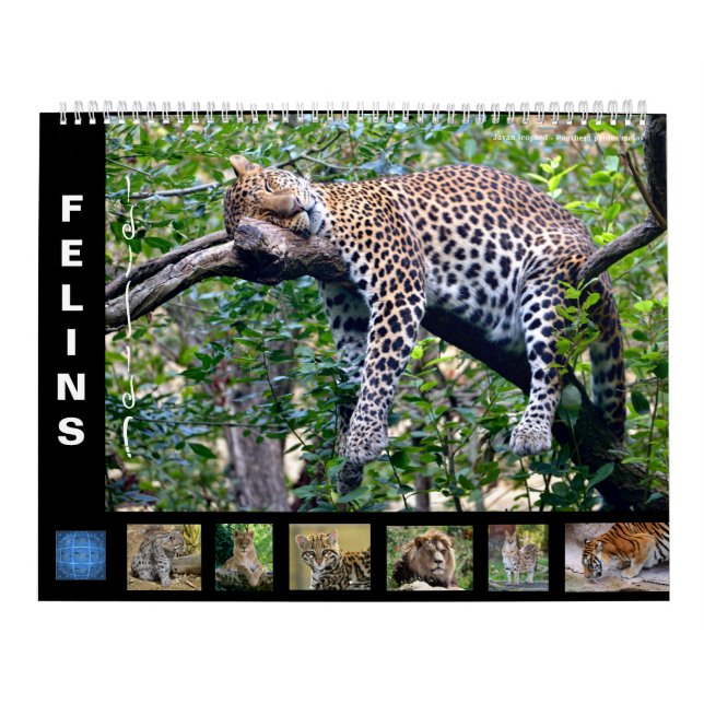 Calendrier (Protection)