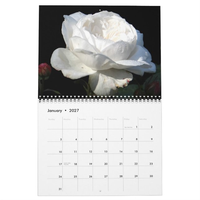 Calendrier 0 2013 roses glorieux (Jan 2027)