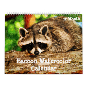 Calendrier 12 Mois Aquarelle Raccoon Peinture Faune Art