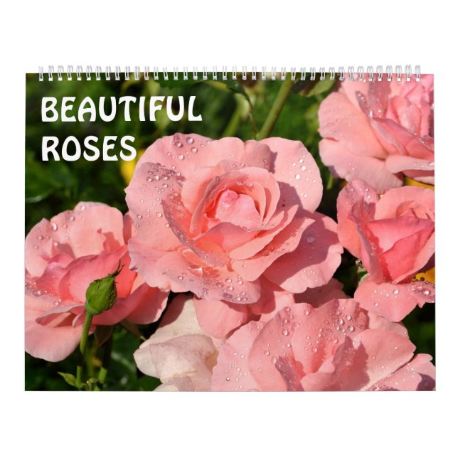 Calendrier 12 mois Beaux Roses (Protection)