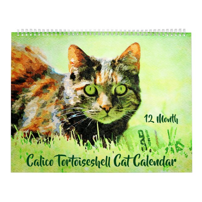 Calendrier 12 Mois Calico Tortoiseshell Chats Aquarelle Cadea (Protection)