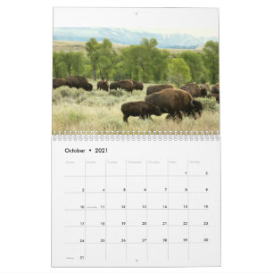 Calendrier 12 Mois d'animaux et de faune Édition 3