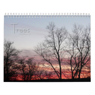 Calendrier 12 mois de beaux arbres, 1ère édition