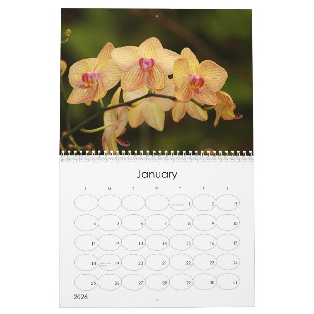 Calendrier 12 mois de belles orchidées (Jan 2026)